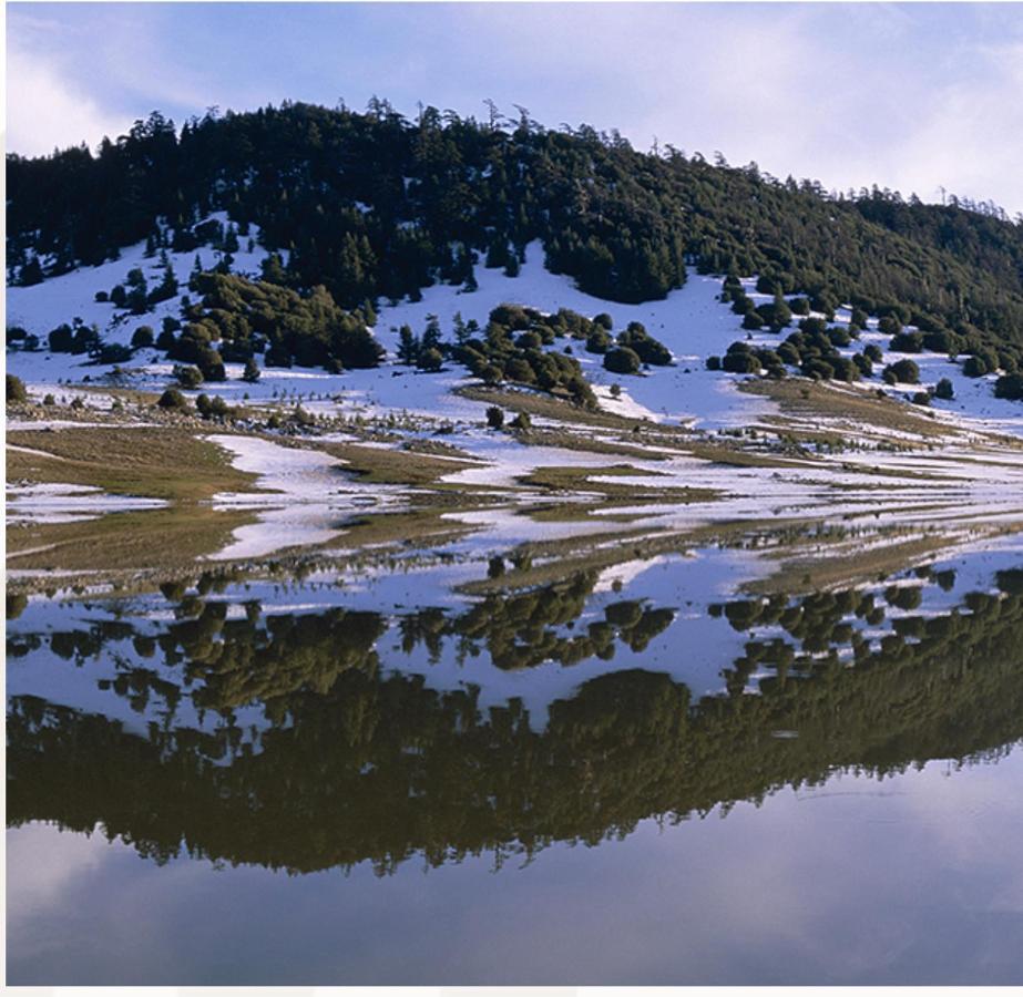 Ifrane Chalet Eksteriør bilde